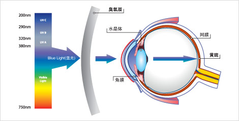 蓝光可射到网膜